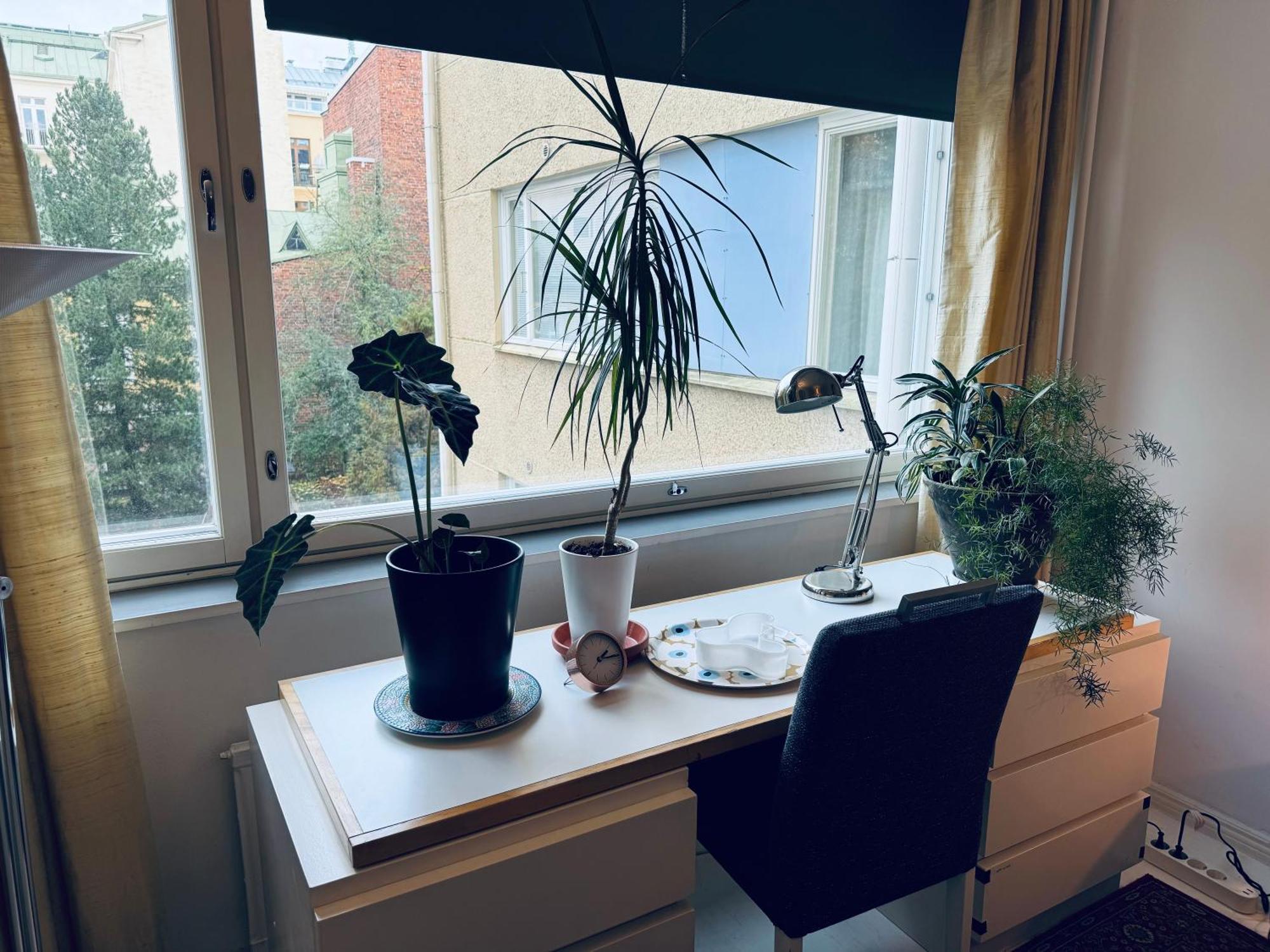 Lovely Apartment, Vuorimiehenkatu 31 赫尔辛基 外观 照片